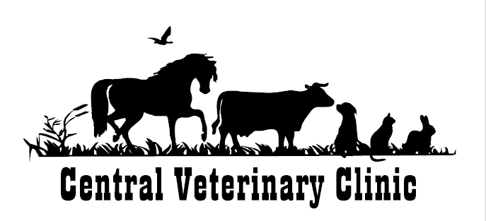Central Veterinary Clinic